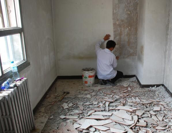 1669426330299896.jpg 1669426330299896.jpg